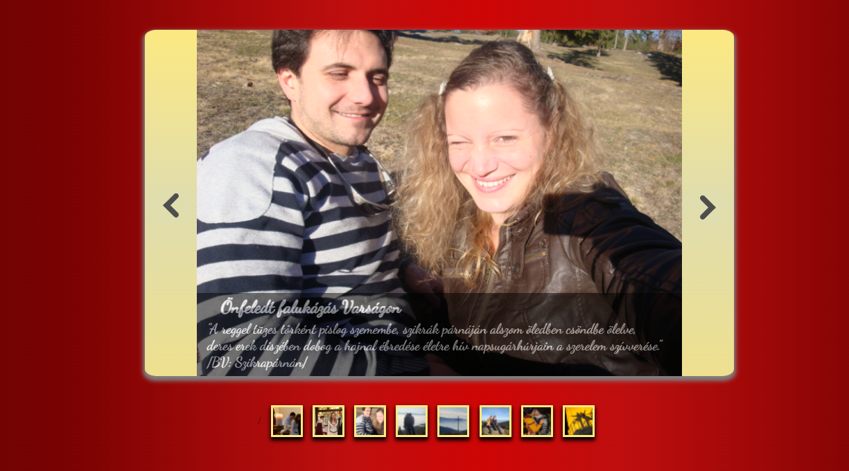 image of a photo viewer website